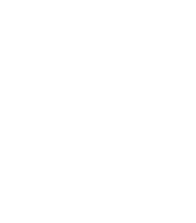 בית בינה